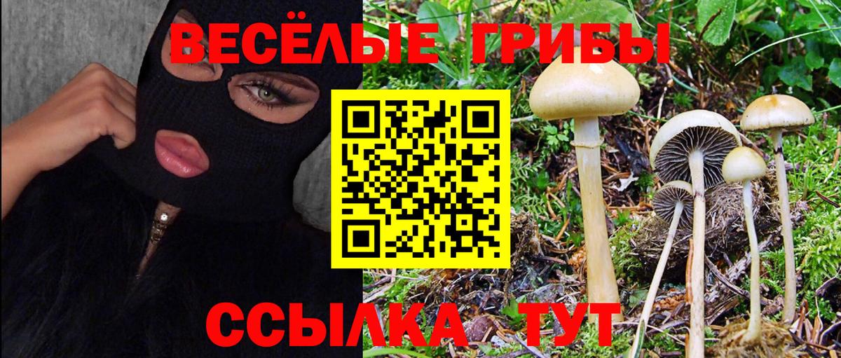 Галлюциногенные грибы прущие грибы Бердск