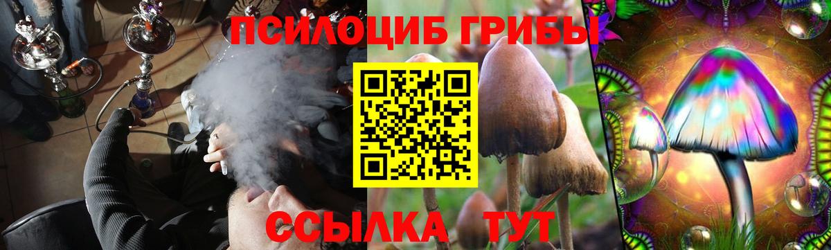 Бердск  Галлюциногенные грибы Psilocybine cubensis  Вход с VPN  магазин продажи   Галлюциногенные грибы мухоморы 